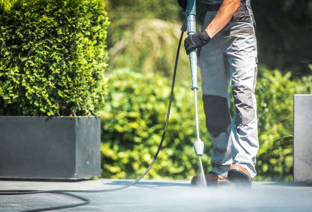 Best Restaurant Pressure Washing  in Elbow Lake, MN