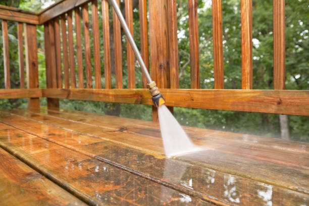 Best Dumpster Area Cleaning  in Elbow Lake, MN